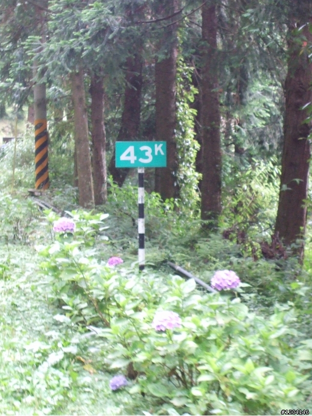 98/7/12  一群瘋子登上大雪山加碼在加碼...(老天送給我的禮物..驚奇..讚嘆...與感謝)
