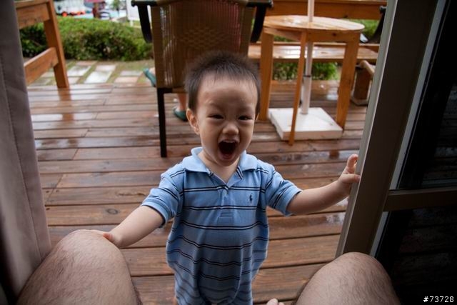 請修圖神人軍團，修改小犬照片