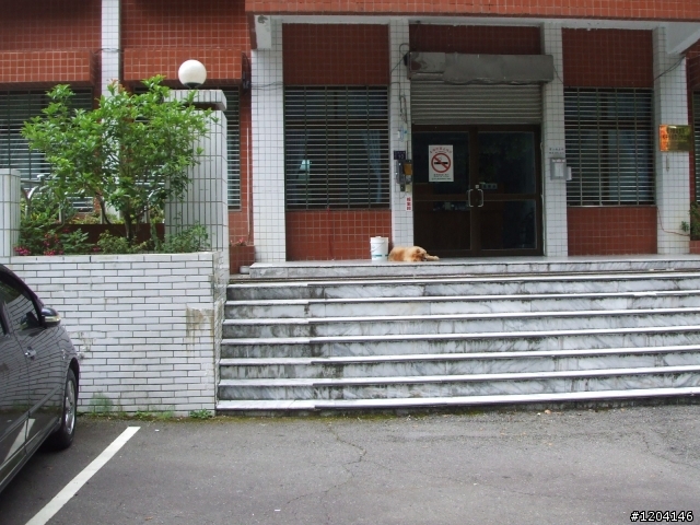 98/7/12  一群瘋子登上大雪山加碼在加碼...(老天送給我的禮物..驚奇..讚嘆...與感謝)