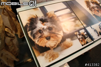 2009年寵物展!!