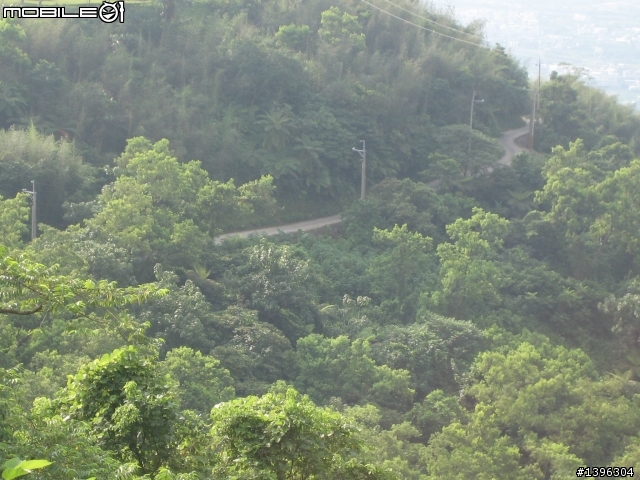 花蓮市近郊向陽山步道挑戰之旅