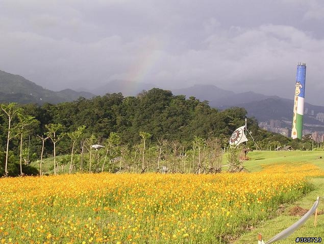 木柵福德復育公園花海-美哉!