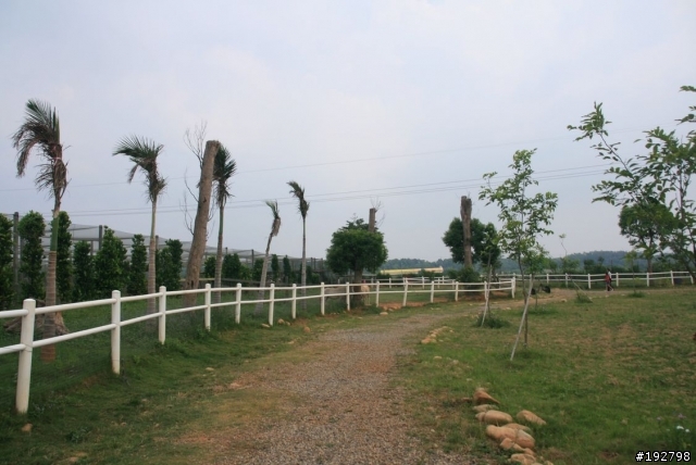 去天馬，騎小馬，看河馬～天馬牧場半日遊～