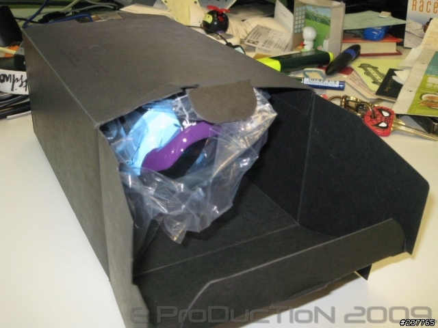 Oakley Custom - 雪鏡 (多圖)