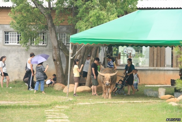 去天馬，騎小馬，看河馬～天馬牧場半日遊～