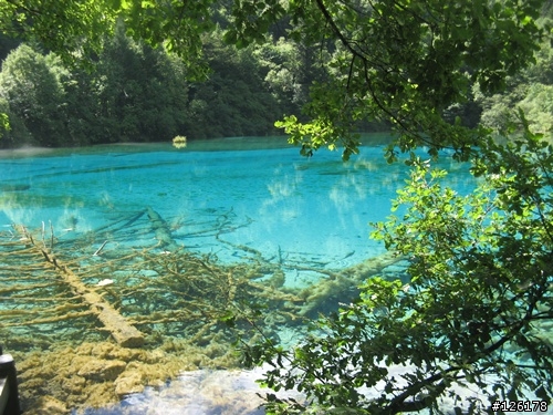 四川九寨溝的導遊