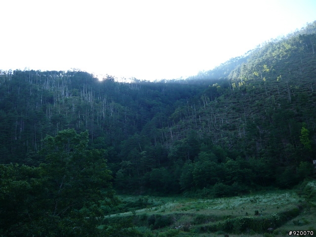 雙橫一豎兩日遊(加碼合歡山主峰)