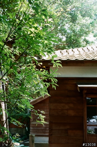 FM2 + Fuji Reala 100 & Proplus 100 分享!!!