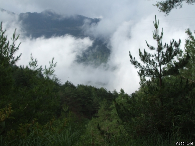 98/7/12  一群瘋子登上大雪山加碼在加碼...(老天送給我的禮物..驚奇..讚嘆...與感謝)