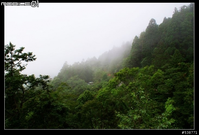 20090711 一日雙北 20090725 再次雙北 ~~圖極多