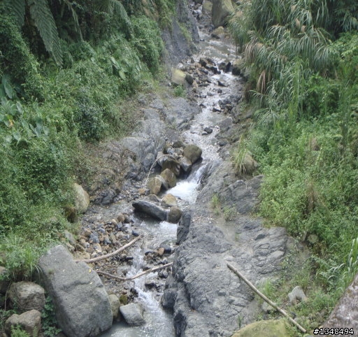 彰化至竹山(上山閱讀與八卦茶園)