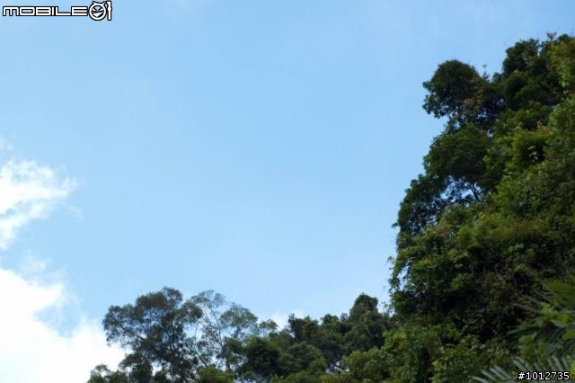 ［分享］霧峰一線天樟樹林步道與北坑溪步道~