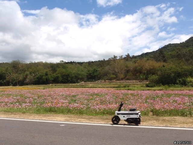 騎著 HONDA MOTOCOMPO 環遊台灣之旅!圖多更新到第七天行程...後續遊記陸續寫出