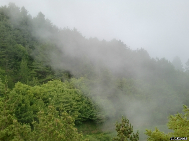 【分享】Bird的大雪山0～50K快樂飛翔!!