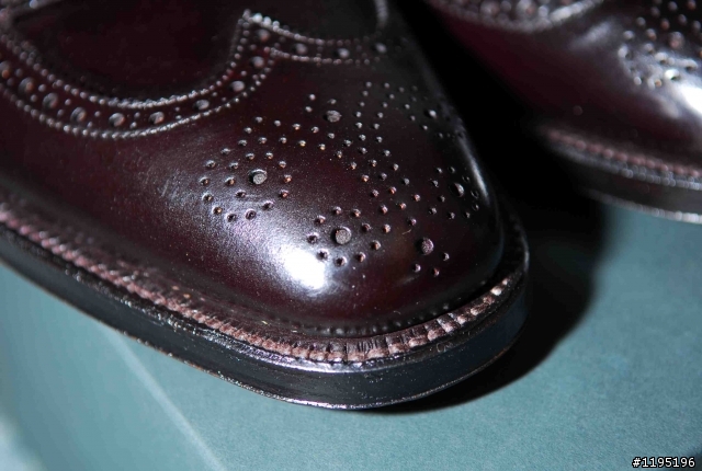 Alden Shell Cordovan #8 Wing Tip Boots開箱