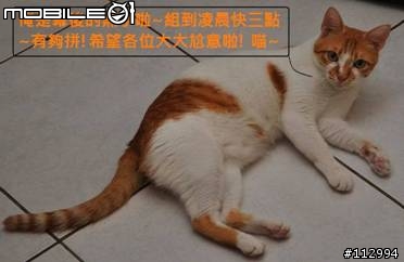 我的MOSSO自組車全紀錄