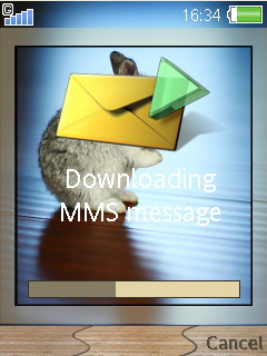 [240X320]~兔子~