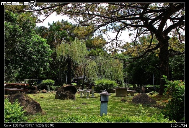 對面N家的大樓蓋的辛苦，那咱們C家也努力一下吧！ -- Tamron 18-270mm VC for canon
