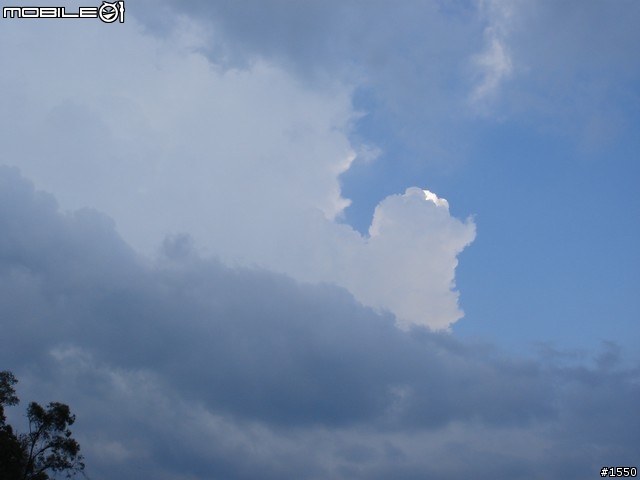 07.11.2009 台南新化木架山跟拍日記 (圖文版)