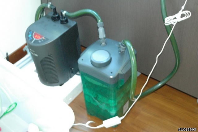 沙發旁觀賞海水缸
