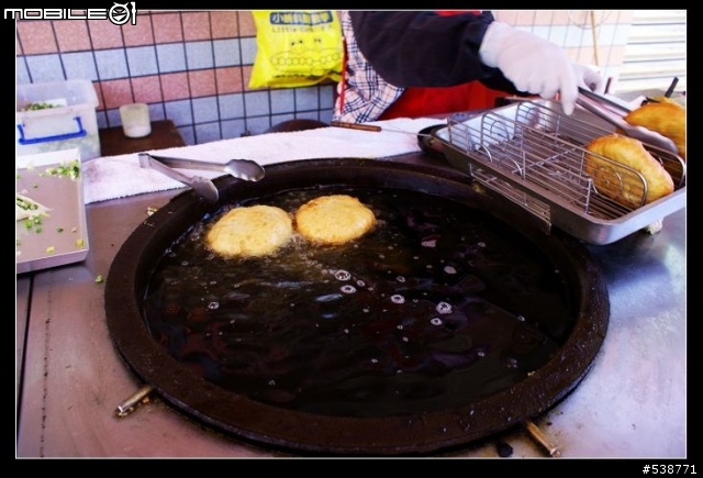 20090711 一日雙北 20090725 再次雙北 ~~圖極多