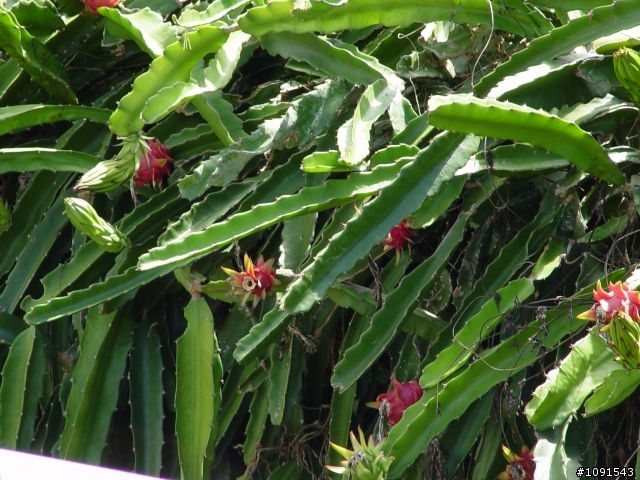 [環島] 50歲的生日禮物-環島完成(17樓)-8.15環島大夢再補上石城到福隆段..!