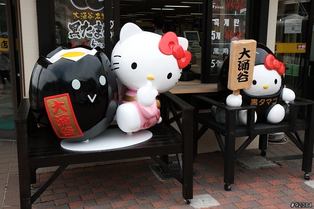 我的第一次單眼旅拍-東京.迪士尼