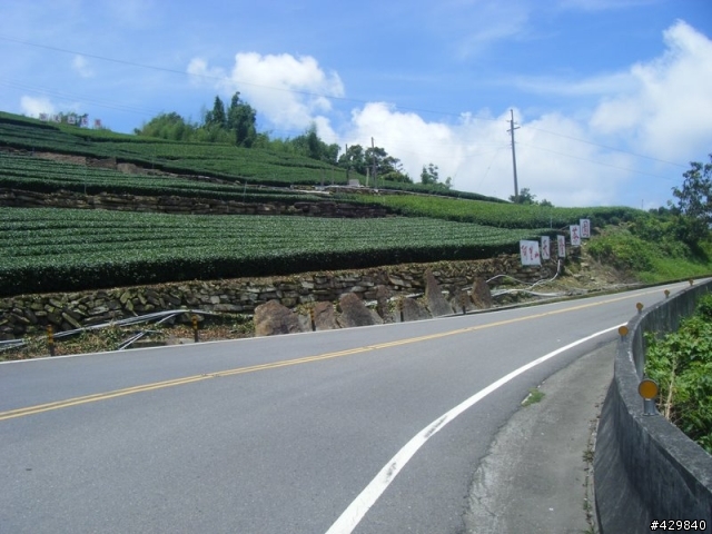 阿里山的少年跑了~.阿里山的姑娘走了