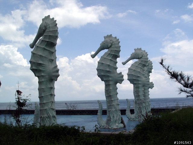 [環島] 50歲的生日禮物-環島完成-第5天-墾丁船帆石完成貼圖文....!
