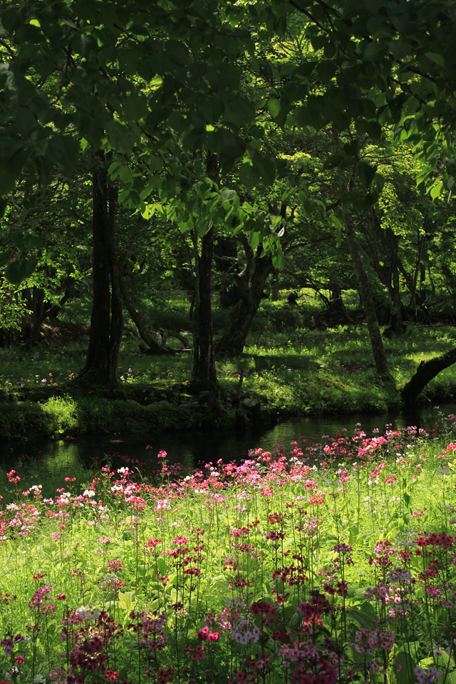 Sigma 18-50mm F2.8-4.5 DC OS HSM 測試照出爐!!