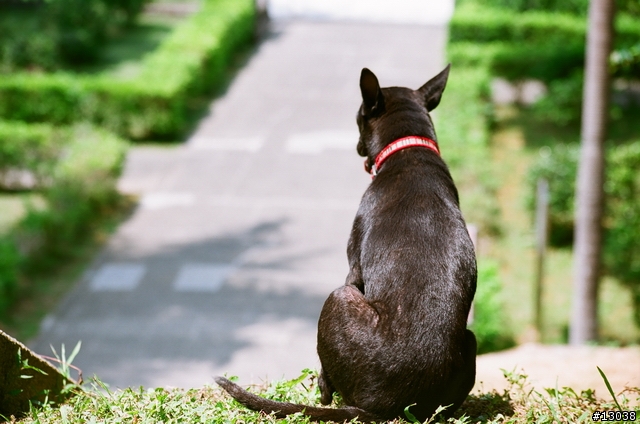 FM2 + Fuji Reala 100 & Proplus 100 分享!!!