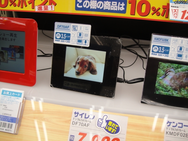 『Kao秋葉原實戰分享』SONY S-Frame 數位相框篇