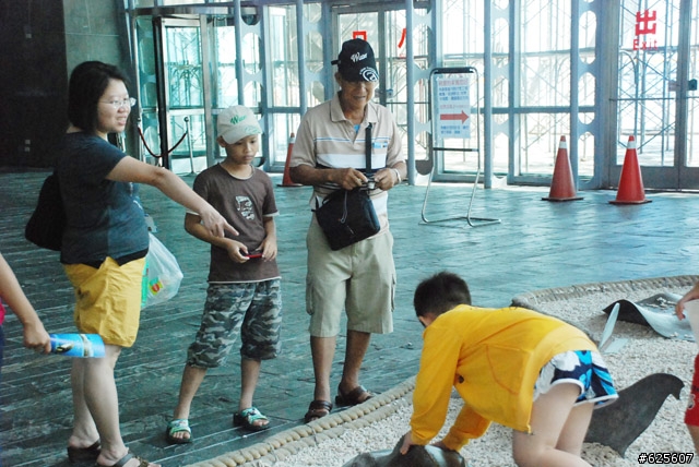 不可思議的海生館