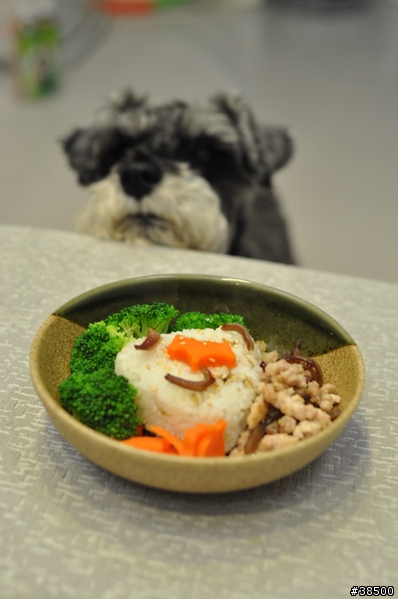 狗料理 -- [ 木耳絞肉拌飯 ]