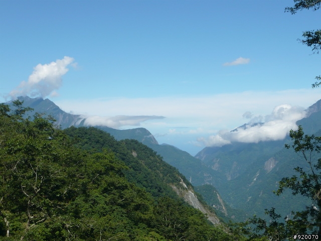 雙橫一豎兩日遊(加碼合歡山主峰)