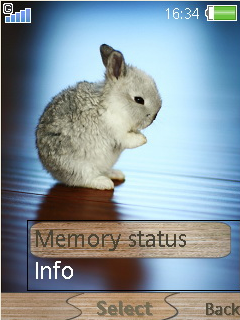 [240X320]~兔子~