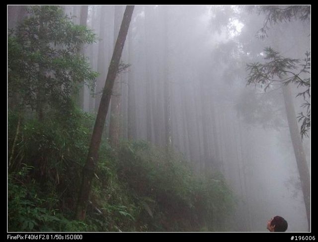 7/11.12杉林溪二日遊(圖片很多)