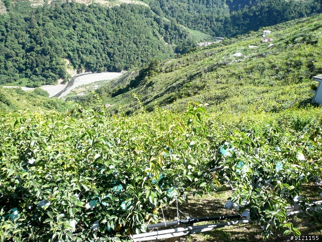 另一種環島 騎小圈的