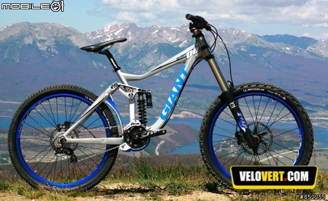 2010 Giant AM FR DH