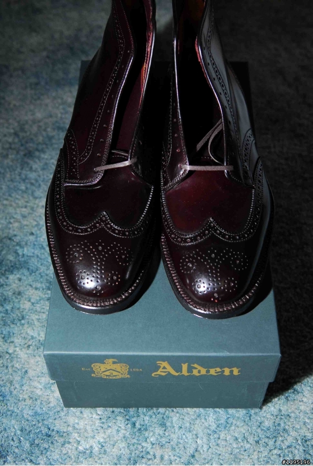 Alden Shell Cordovan #8 Wing Tip Boots開箱