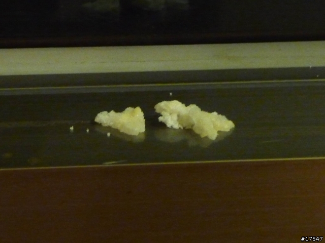 救人,請問白色的結晶物是什麼?