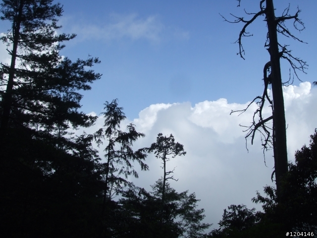 98/7/12  一群瘋子登上大雪山加碼在加碼...(老天送給我的禮物..驚奇..讚嘆...與感謝)