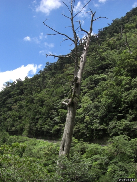 [分享]小童遊記(三)雙北一日行.終於如願以償
