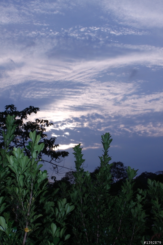首次拿500D+KIT18-55MM IS 拍風景!