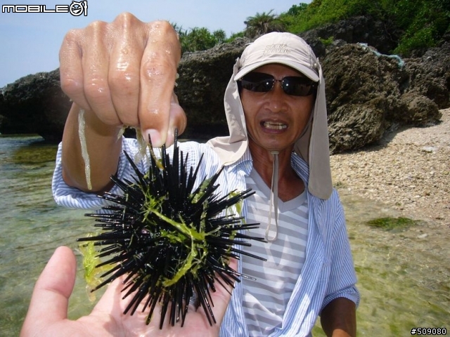 8/1 8/3小琉球墾丁鐵屁屁之旅