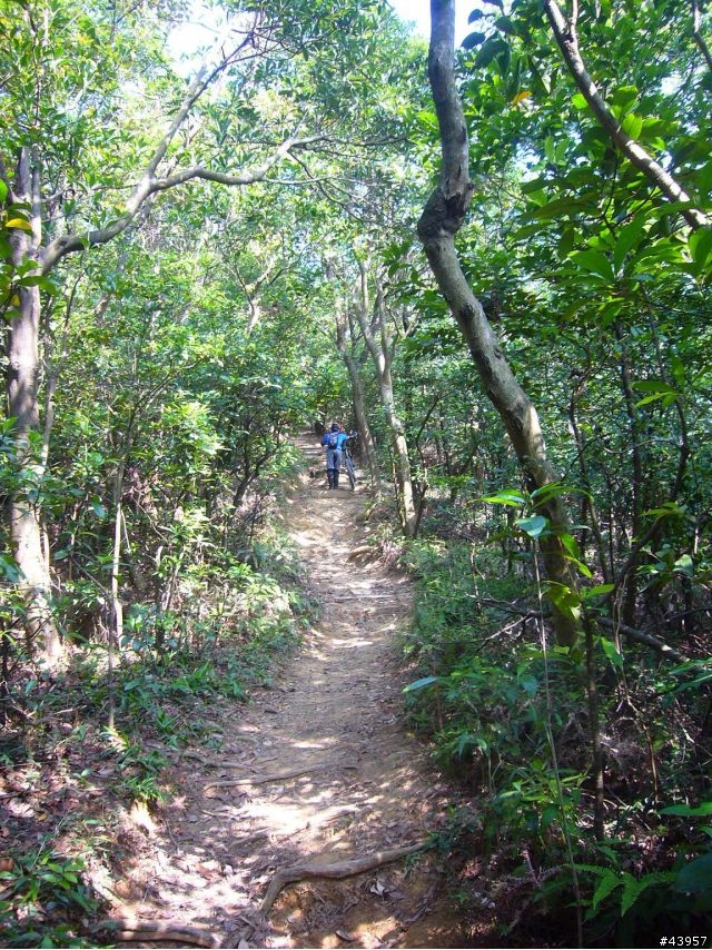 [分享]丹鳳山off road主路線懶人包