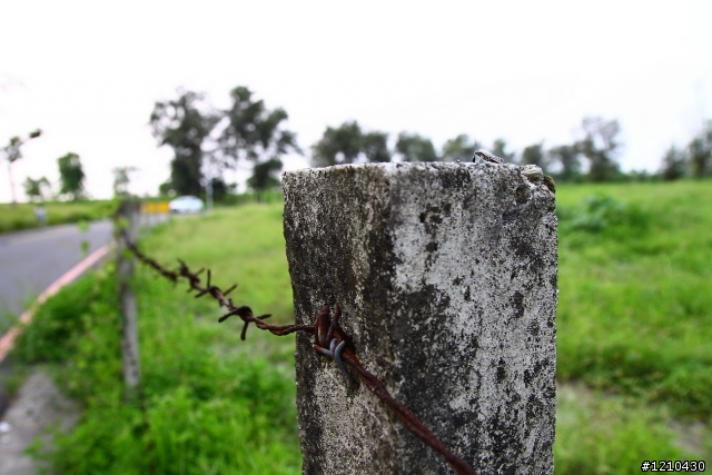 50D+Canon EF-S 17-55mm F2.8 新手照