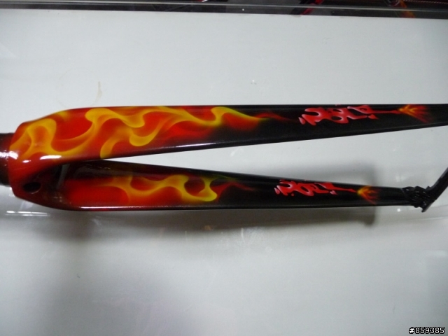 【分享】獨一無二殺很大的Carbon手工彩繪車架-失心瘋的敗家組車1F更新