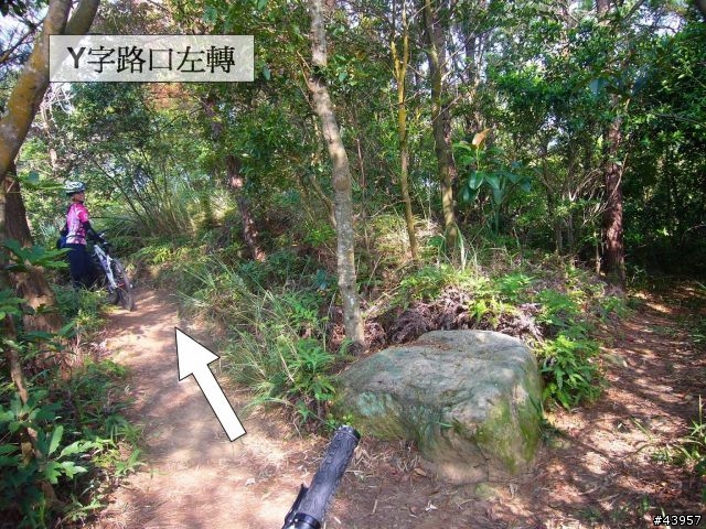 [分享]丹鳳山off road主路線懶人包