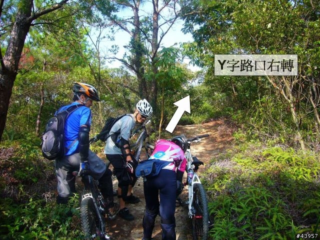 [分享]丹鳳山off road主路線懶人包